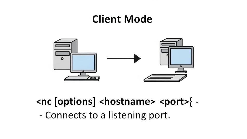 리눅스 커멘드 nc 명령어 대한 정리